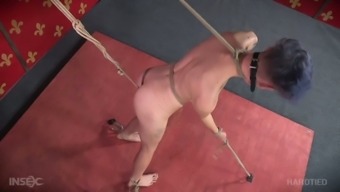 Freaky BDSM master gives hard core fuck lesson to skinny tightly bound bitch Billy Nyx