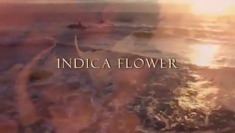 Morning Sex: Indica Flower